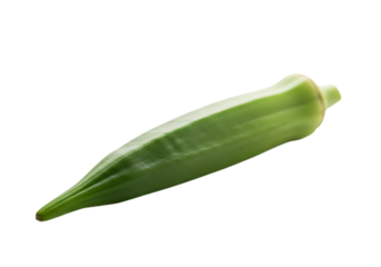A single fresh green okra pod vegetable isolated on transparent background for culinary use and healthy eating