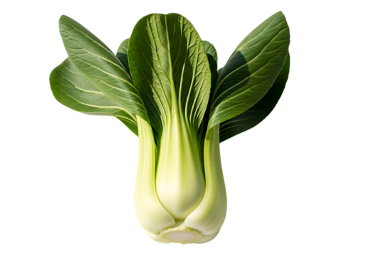 A fresh, vibrant head of bok choy vegetable with deep green leaves and pale whitegreen stalks, isolated on transparent background