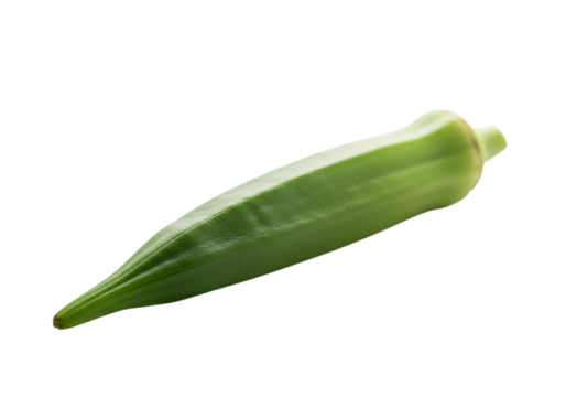 A single fresh green okra pod vegetable isolated on transparent background for culinary use and healthy eating