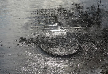 Spiegelung von &Auml;sten und Wassertropfen in einem See