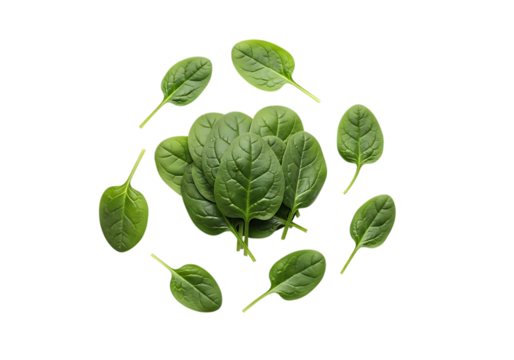 Fresh baby spinach leaves arranged in a circular pattern around a small central bunch, isolated on transparent background