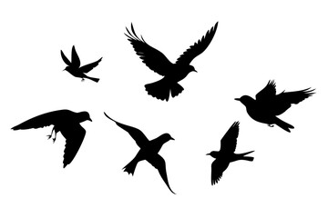 Fototapeta premium Three Birds Flying Silhouette on White Background animal
