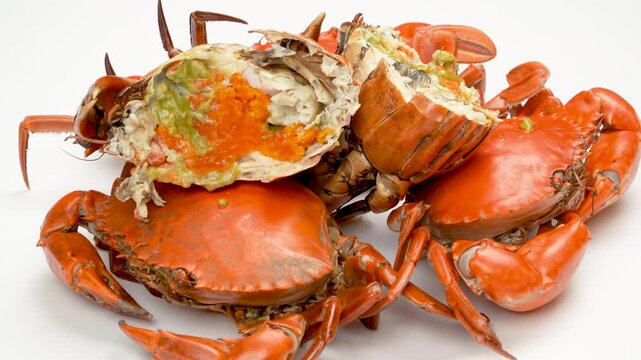 Close-up of rotating Vietnamese female crabs (Roe crab) with orange roe inside. Boiled premium seafood isolated on white background. Asian delicacy.