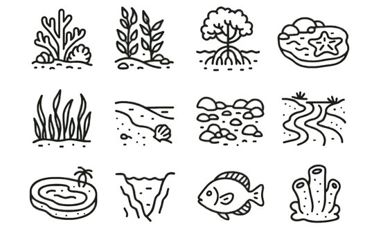 Deep sea sandy icon coral beach vector shore pool seagrass icons habitat