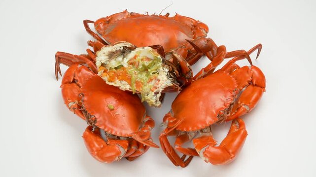 Close-up of rotating Vietnamese female crabs (Roe crab) with orange roe inside. Boiled premium seafood isolated on white background. Asian delicacy.