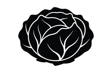 cabbage vector icon illustration on white