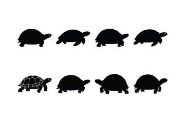 Slow-Moving Turtle Line Illustration Vector