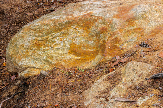 A boulder in the ground witihn Dave's Falls Marinette County Park, near Amberg, Wiscosnin looks like a baby baluga whale