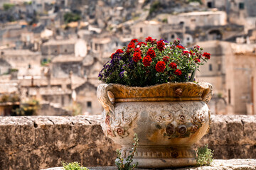 Vibrant Red Flowers in Ornate Stone Pot with Sassi di Matera Panorama in Background