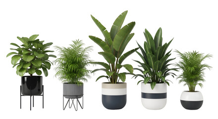 Fototapeta premium Assortment of Potted Houseplants with Modern Planters