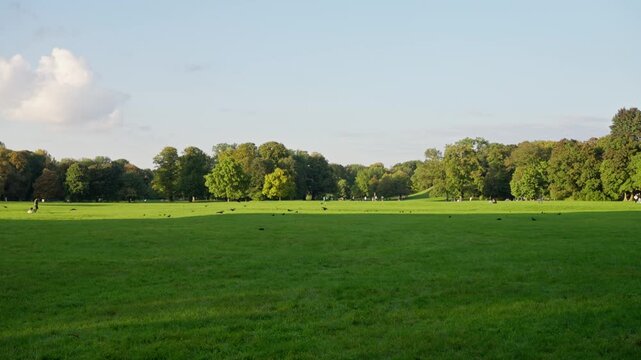 calm green fields discovery walk, relaxing scenic rural area exploration experience, experience soothing tranquility of vibrant green landscapes through exploration and peaceful surroundings