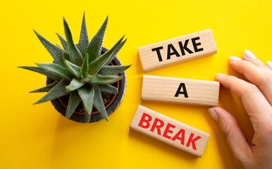 Take a break symbol. Concept words Take a break on wooden blocks with succulent plant. Businessman hand. Beautiful yellow background. Business and Take a break concept. Copy space.