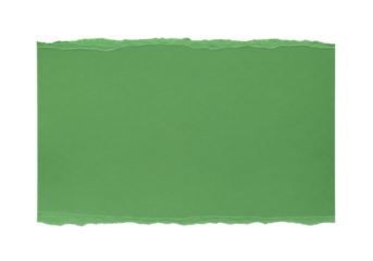 A single textured green paper swatch with torn edges isolated on transparent background