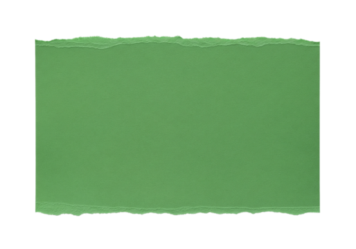 A single textured green paper swatch with torn edges isolated on transparent background