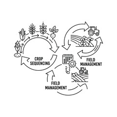 Crop sequencing and field management cycle diagram outline