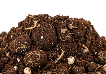 Close up macro view of rich organic potting soil with visible roots and small white pebbles isolated on transparent background