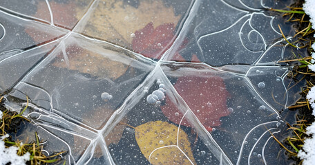 Intricate patterns of frozen water encasing autumn leaves and earth in a close up macro view