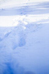 Footsteps on the white snow