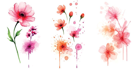 Watercolor floral elements with vibrant pink and orange splashes on white