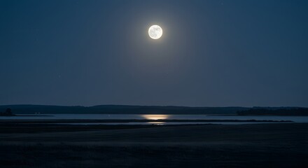 The cool, blue tones of the landscape under a full moon.
