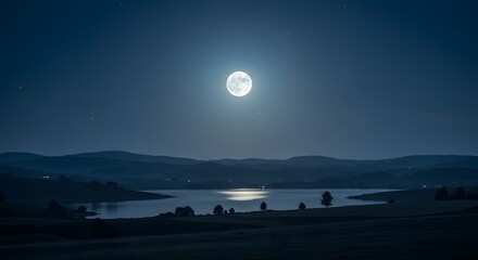 The cool, blue tones of the landscape under a full moon.
