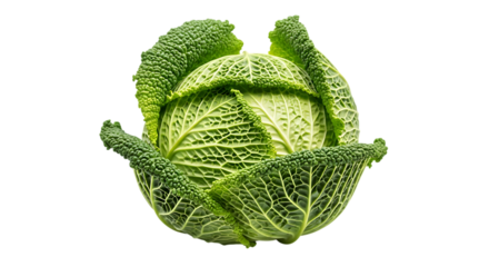 A vibrant green savoy cabbage with deeply textured crinkled leaves is presented against a stark black background showcasing its unique organic form and fresh healthy appearance