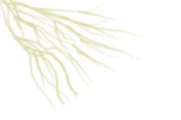 Striking yellow-green energy bolt abstract dynamic design art