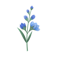 Beautiful blue flowers stem with green leaves illustration isolated on white background