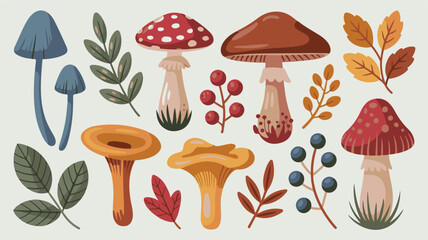 Assortment of Autumn Mushrooms and Leaves fungi chanterelle