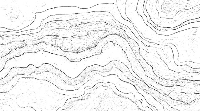 Black and white abstract contour lines with textured background vector