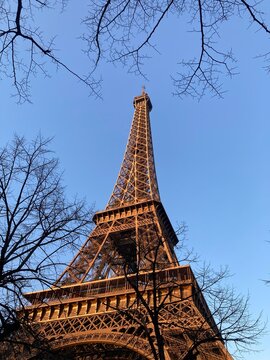 Eiffelturm im warmen Abendlicht zwischen winterlichen &Auml;sten vor klarem Himmel in Paris