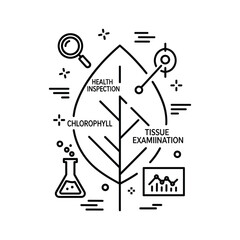 Plant health inspection and tissue examination line icon