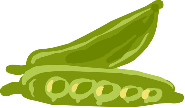Okra ou Gombo Illustration vectorielle color&eacute;e d'un fruit  ou d'un l&eacute;gume.. Parfait pour jus, smoothies, cocktails, emballage de produits estivaux ou recettes de cuisine..