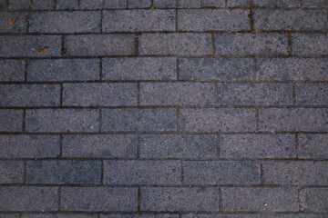 Dark stone paving with subtle wear and hints of moss, evenly arranged rectangular bricks creating a textured urban surface ideal for backgrounds and architectural projects.