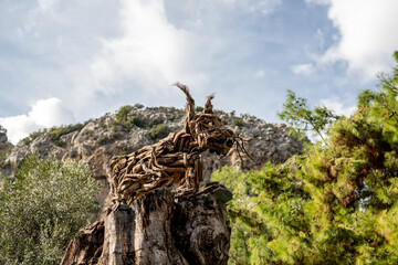 wooden sculpture on the background of mountains 