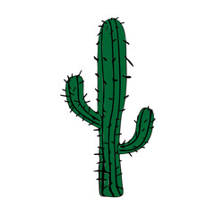 Green macro close-up of a healthy cactus plant isolated on white background with fresh green leaves