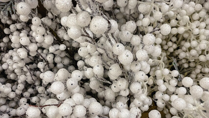 Abstract winter background of white frosted berries and clear sparkling beads on decorative branches