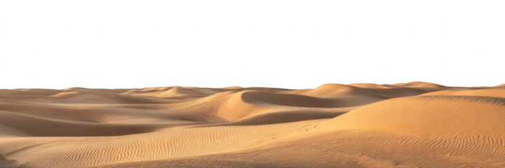 Golden sand dunes with rippled textures under a black void isolated on a transparent background