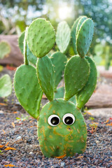 Funny cactus with googly eyes