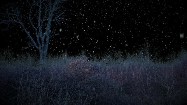 Cold winter night snow falling