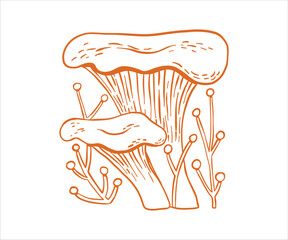 A whimsical autumn illustration mushroom drawn in a gentle doodle outline, blending floral forest details with a soft vintage mood that feels both natural and slightly fantastical.