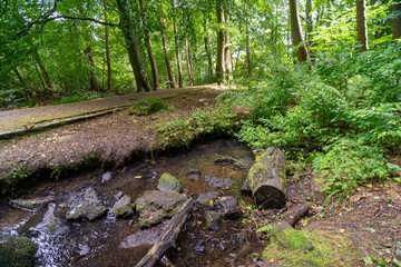 Durrockstock Park, Paisley. Scotland, UK. A Local Nature Reserve which is a refuge for wildlife. An old reservoir provides a variety of habitats for birds and amphibians. A former industrial area. 