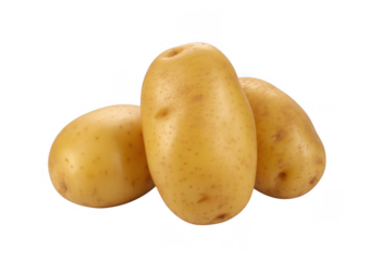 Three whole yellow potatoes with brown speckles isolated on a transparent background
