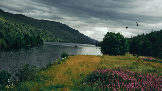 lake and mountains and birds flying past
