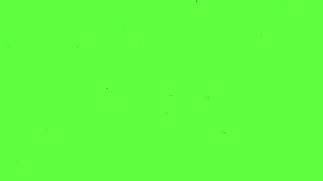 old historic archive film flicker and grain overlay visual special effect to create a film damage or cinematic film grain projection effect with chroma key green screen 4K background