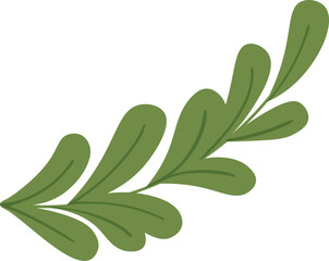 A green leafy plant with a long stem