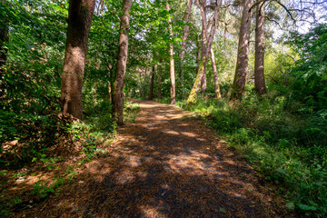 Durrockstock Park, Paisley. Scotland, UK. A Local Nature Reserve which is a refuge for wildlife. An old reservoir provides a variety of habitats for birds and amphibians. A former industrial area. 
