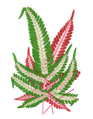 Colorful leaf illustration isolated on white background