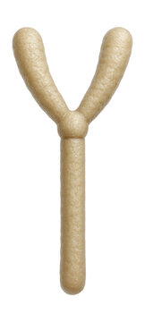 Human Y chromosome displayed in a karyotype, noted for its smaller size and centromere