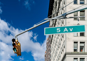 Busy 5th Avenue street sign with traffic light in Midtown Manhattan © Felipe Rodríguez